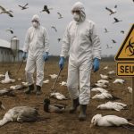 Politik, Profit und Pandemie: Die Vogelgrippe