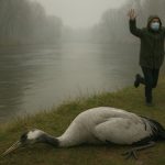 Allgemeinverfügung – der Behörden-Zauberstab der Gegenwart