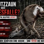 Wenn der Schutzzaun selbst zur Gefahr wird